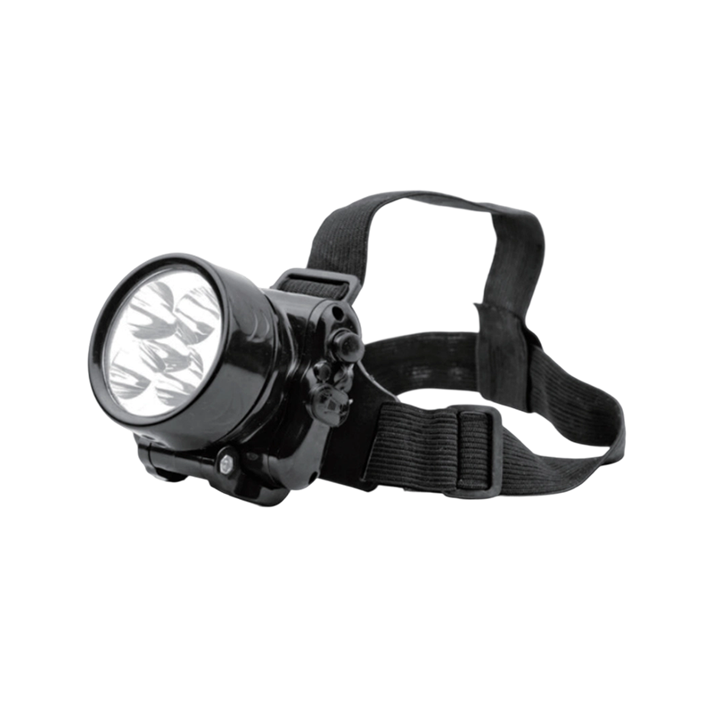 Emergency Lighting Flashlights / Headlamps
