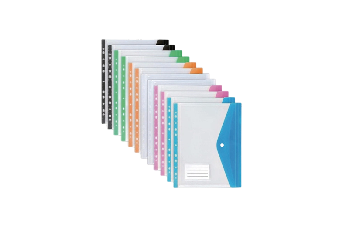 Government File Folder