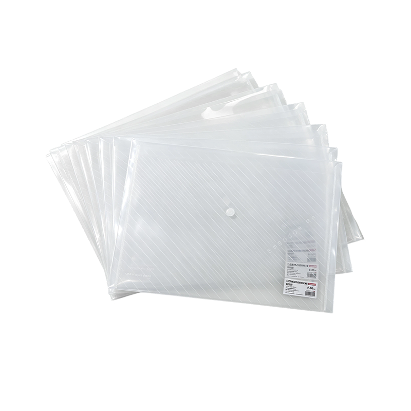 Government File Folders